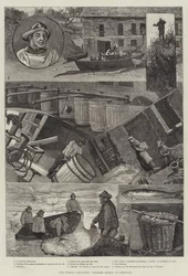 Our Fishing Industries, Pilchard Seining in Cornwall